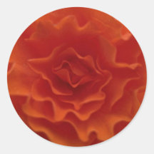 Marigold Flower Round Sticker