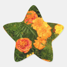 Marigold Flowers Stickers