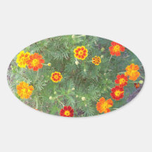 Marigold Melody Oval Stickers