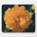 Marigold mousepads