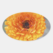 Marigold Oval Stickers