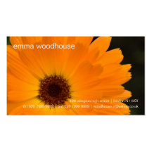 Marigold • Personal Business Card