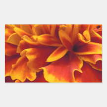 MARIGOLD PETALS RECTANGLE STICKER