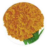 Marigold Vintage Seed Packet Stickers