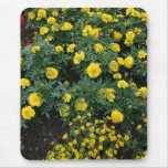 Marigolds and daisies mousepad