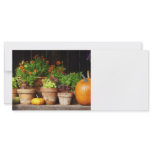 Marigolds and Pumpkins rack cards