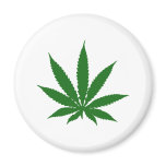 Marijuana Leaf Magnet
