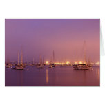 Marina at Dawn Card