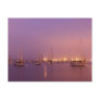 Marina at Dawn Post Cards