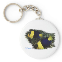 Marine Aquarium Fish by FishTs.com