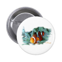Marine Aquarium Fish by FishTs.com Pins