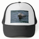 Marine Iguana Swimming Out To Feed hats