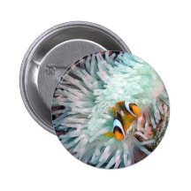 Marine Life Pinback Buttons