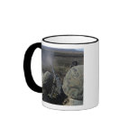 Marines fire an M2 50 calibre machine gun mugs