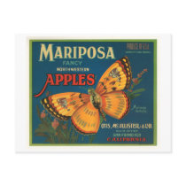 Mariposa Brand Apples Vintage Crate Label - Butter Postcard