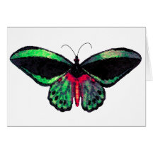 Mariposa ~ Card / Invitations