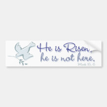 Mark 16.6 bumper sticker
