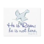 Mark 16.6 post card