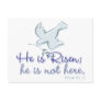 Mark 16.6 post card