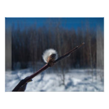 Marker of Spring Art Photo