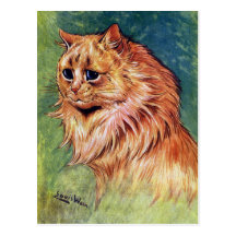 Marmalade Cat with Blue Eyes Postcards