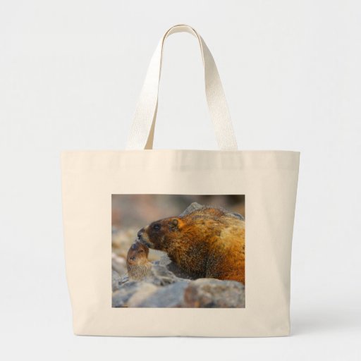 Marmot Bag