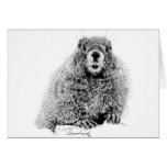 Marmot Greeting Cards