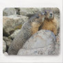 Marmot Love Mouse Pads