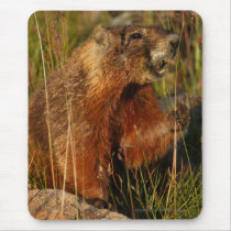 Marmot mousepads