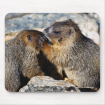 Marmot mousepads