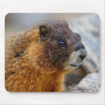Marmot mousepads