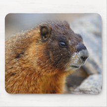 Marmot Mousemats