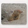 Marmot Mousepad