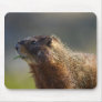 Marmot Mousepad