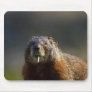 Marmot Mousepads