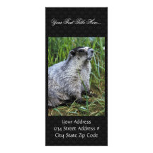 Marmot Rack Card
