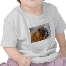 Marmot Shirt