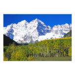 Maroon Bells with autumn aspen forest. photography