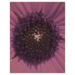 Maroon Black Eyed Susan Altered Flyer