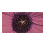 Maroon Black Eyed Susan Altered Custom Photo Card
