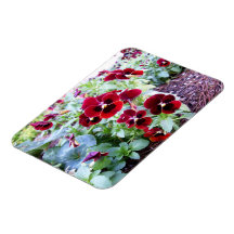 Maroon Pansies Vinyl Magnet