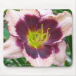 Maroon Pink Lily mousepads
