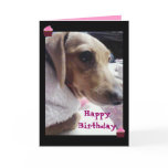marronface2, cupcakesolo, cupcakesolo, HappyBir... Card