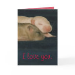 marry me card