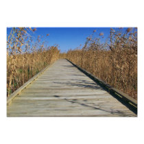 Marsh boardwalk Photo