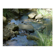 Marsh Creek in Spring Postcard