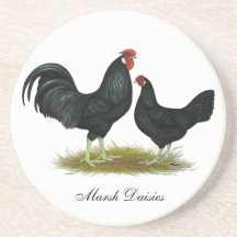 Marsh Daisy Chickens Coaster