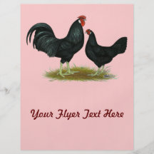 Marsh Daisy Chickens Personalized Flyer