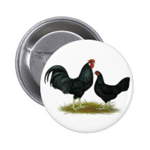 Marsh Daisy Chickens Pinback Buttons