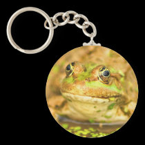 Marsh Frog keychains